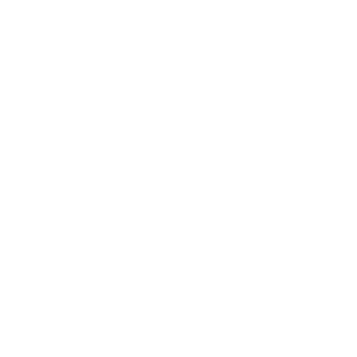 Healthy Food icon